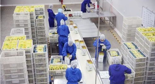 萌宠成为一种陪伴,宠物食品代工厂潜力无限