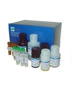 铬雾抑制剂/Chromic acid fog inhibitor